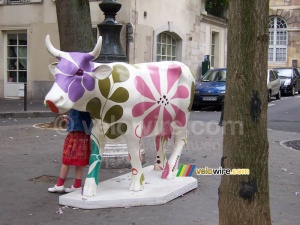 The cow 'Geneviève' (382x)