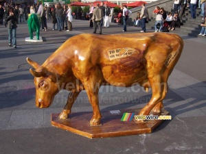 La vache 'Xaintrie' (335x)