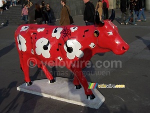 La vache 'Music & Jack' (279x)