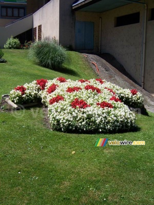 Saint-Jean-de-Maurienne : un maillot à pois de fleurs (764x)