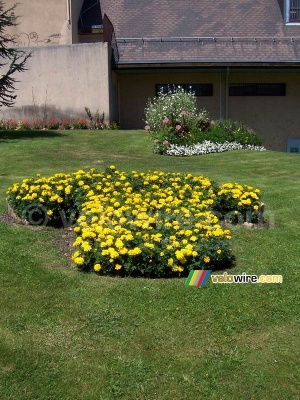 Saint-Jean-de-Maurienne : un maillot jaune de fleurs (965x)