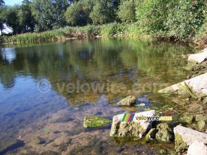 Even in Wagenberg you can find some beautiful nature pictures!! (740x)