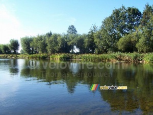 Even in Wagenberg you can find some beautiful nature pictures!! (2) (590x)