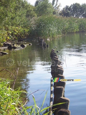 I'm wondering whether you can walk on these ;-) (472x)