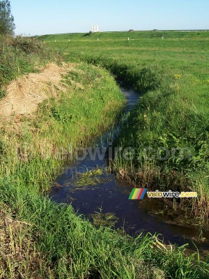 A ditch (609x)