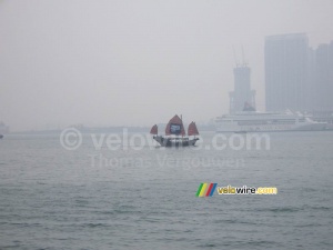 Les bateaux de Princess et de Star Cruises (322x)