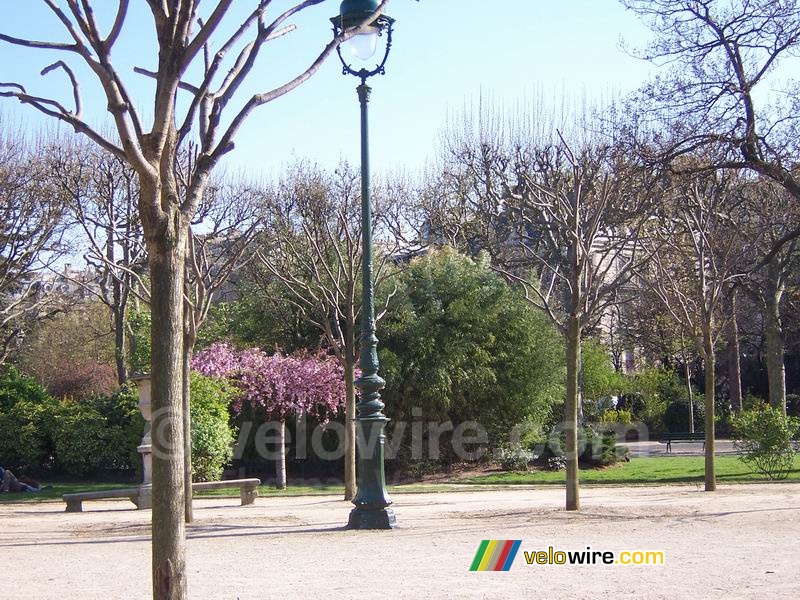 Bloesem tussen de kale bomen in het Parc du Champs de Mars