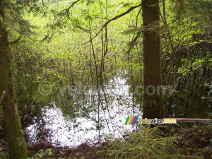 A lake in the middle of the forest (287x)