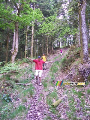 Bernie, Fabian & Anne-Cécile going downhill (238x)