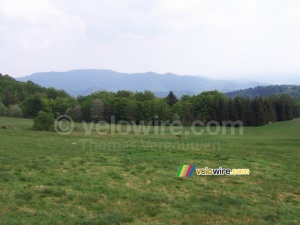 De l'herbe, des arbres et des montagnes : magnifique !! (469x)