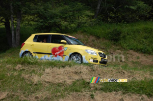 Une Fabia jaune (2) (643x)