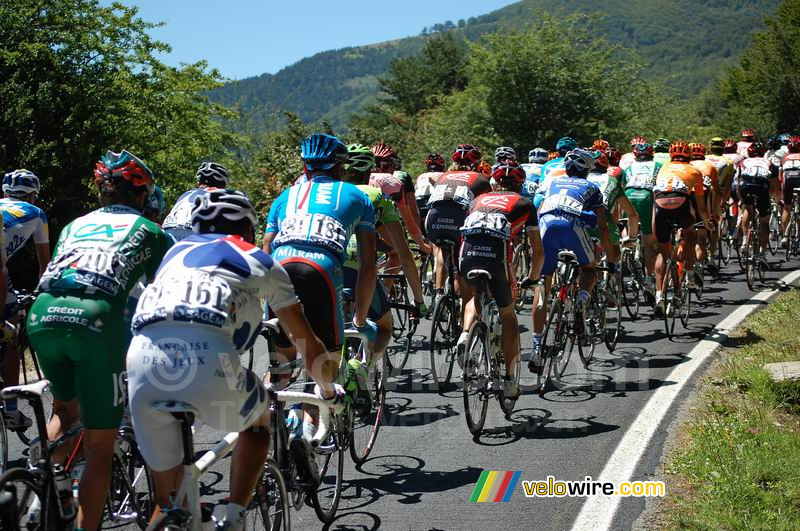 Een deel van het peloton op de Col de la Pierre-Saint-Martin
