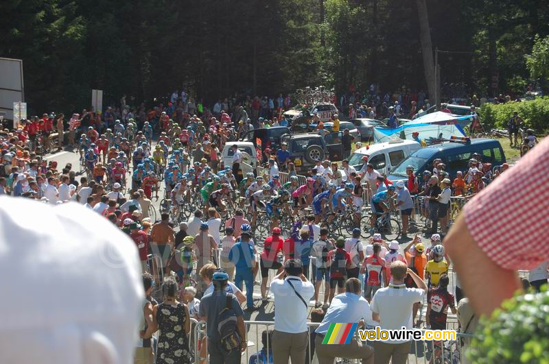 Het peloton op zo'n 6 km van de aankomst