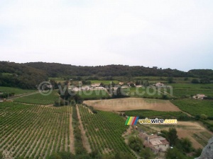 Vineyards in Vaison-la-Romaine (632x)