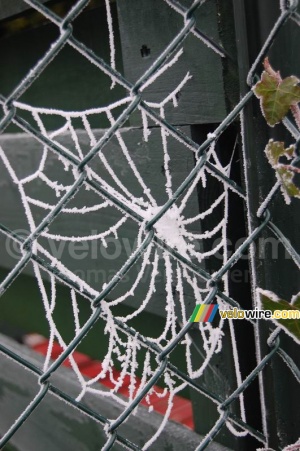 L'araignée n'avait sans doute pas une toile blanche en tête quand il la faisait ... (344x)