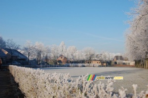 Givre dans un quartier de Bavel (326x)