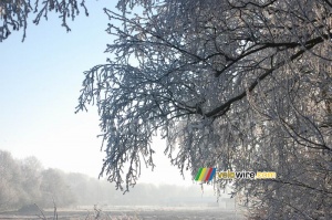 Paysage hivernal (573x)