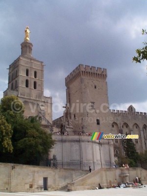 Palais des papes II (261x)