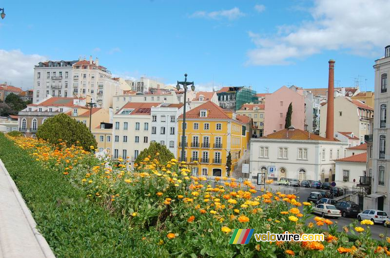 Kleurrijke huizen in de Rua de Sao Bento