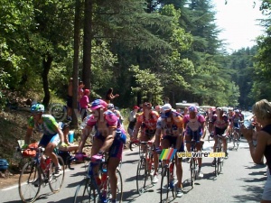 TDF 21/07/2002: The large group (429x)