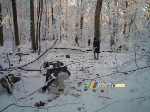 La forêt de Meudon (372x)