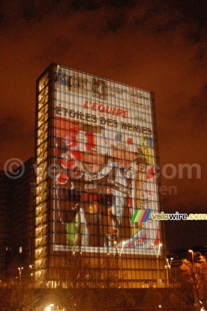 Etoiles des neiges (1007x)