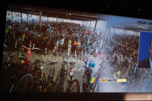 Bikes at the Rotterdam train station (684x)