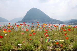 Vue touristique à Lugano (735x)