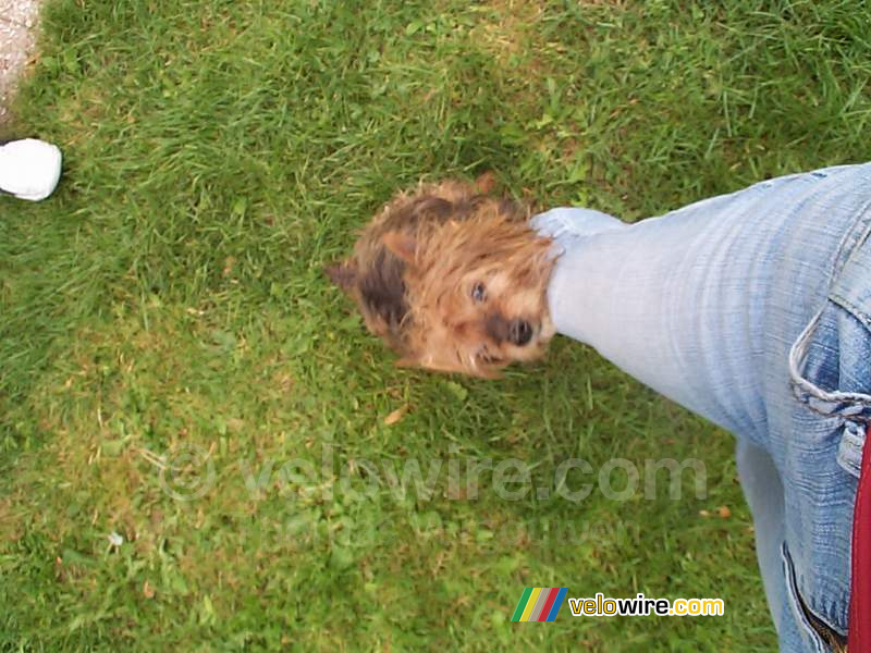 [Weekend Lyon] Flippo aan het been van Virginie