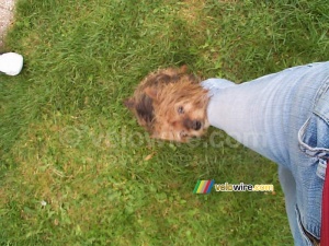 [Weekend Lyon] Flippo aime la jambe de Virginie (392x)