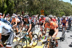 Cameron Meyer (Garmin-Cervélo) & Simon Gerrans (Team Sky) (785x)