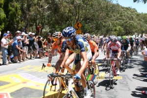 Mirko Selvaggi (Vacansoleil-DCM Pro Cycling Team) (871x)