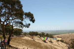 Willunga Hill (719x)