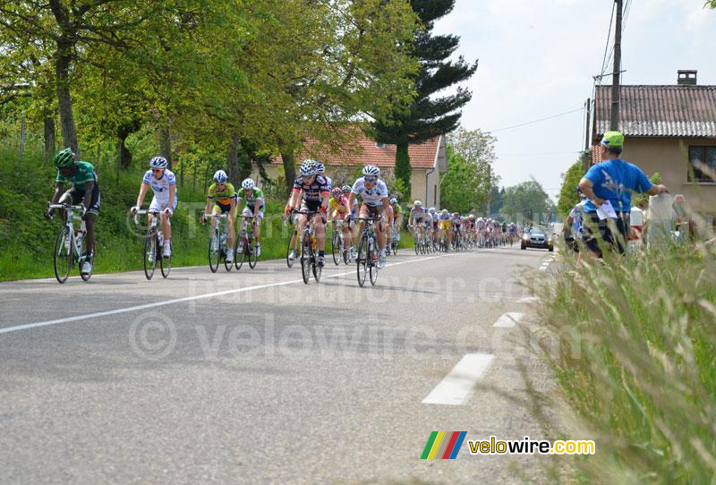 Het peloton bij de eerste sprint