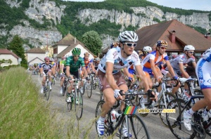 Le peloton sur la Côte de Rochefort (2) (515x)