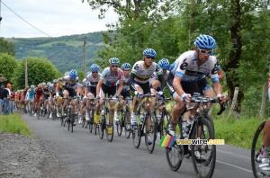 Garmin-Cervélo leading the peloton (596x)