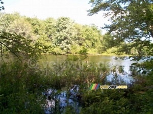 [Boston] - A lake near Concord (440x)