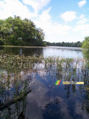 [Boston] - A lake near Concord (375x)