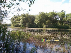 [Boston] - A lake near Concord (196x)