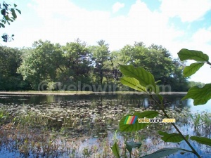 [Boston] - A lake near Concord (182x)